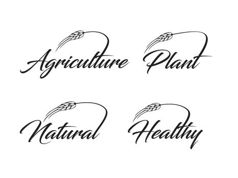 Agriculture, Plant, Natural and Healthy Word Mark Logo Sign