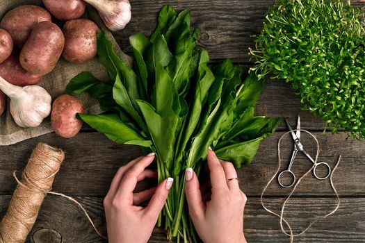 Woman hands holding fresh organic spinach leaves. Vegetables, onion, garlic, potatoes, spinach, lettuce leaves on wooden background