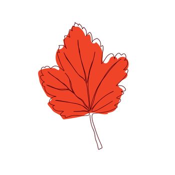 Vector autumn leaf continuous line drawing. Autumn leaf one line style icon vector illustration design