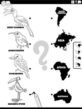 match cartoon birds and continents task coloring page