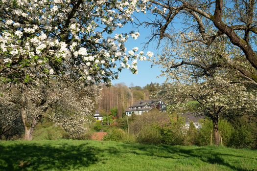 Springtime, Bergisches Land, Germany