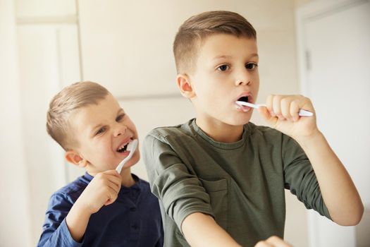 boy brushing teeth dental toothbrush daily habit routine child hygiene health care brother brush bathroom