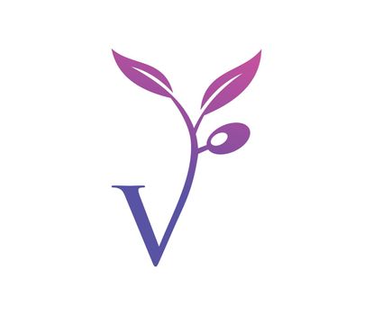 Grape Vine Monogram Logo Letter V
