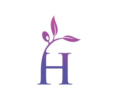 Grape Vine Monogram Logo Letter h