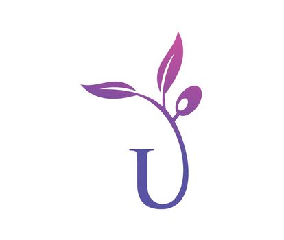 Grape Vine Monogram Logo Letter U