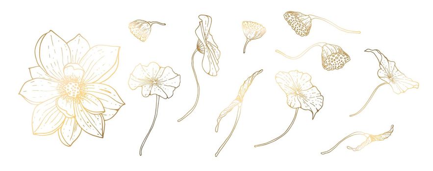 Set, golden lotus flowers isolated on white background. Golden handmade flower. Vector illustration. For greeting cards and wedding invitations, birthday, Valentine s Day, Mother s Day and others.