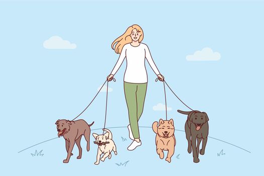 Woman walking with dogs on leashes
