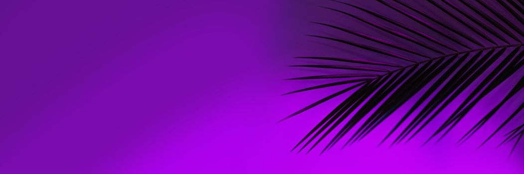 Tropical and palm leaves in vibrant bold gradient holographic neon colors. Concept blog template. Web banner