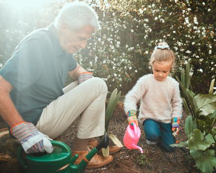 Gardening adds years to your life. Shot of an adorable little girl gardening with her grandfather.