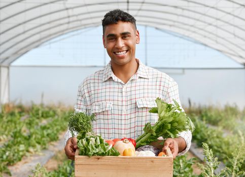 You wont taste fresher than this. Portrait of a young man holding a crate of fresh produce while working on a farm.