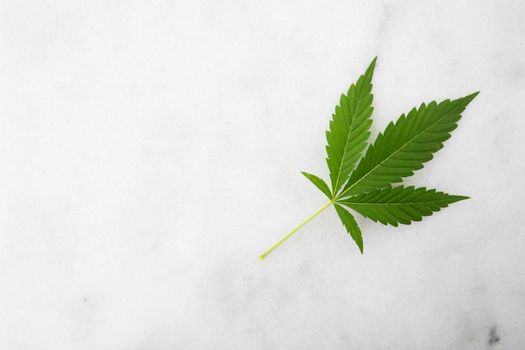 Cannabis Leaf with Copy Space