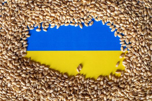 Wheat grain on Ukraine flag. Concept of grain export problems