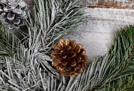 Close up of a single gold pine cone in snow fir tree for the holiday season 