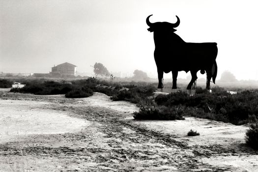 Mythical and typical Osborne bull in Alicante