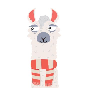 Llama or alpaca scarf smiling portrait