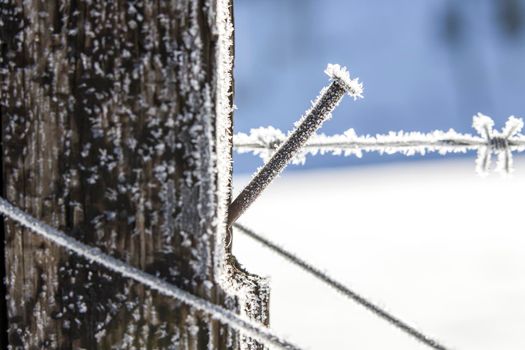 Close up of frost on wire.