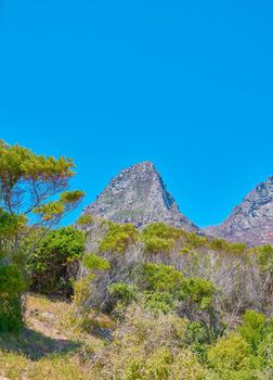 Scenic mountain landscape view with blue sky with copy space of Twelve Apostles in Cape Town, South Africa. Famous steep hiking, trekking terrain with growing trees and bushes. Travel and tourism