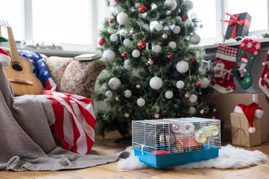 Hamster cage near the Christmas tree, USA.