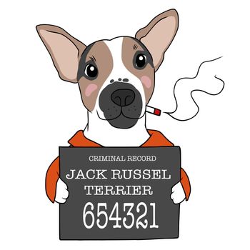 Jack Russell Terrier dog criminal cartoon vector illustration