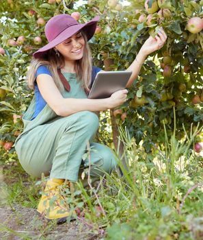 Apple farmer using a digital tablet and preparing for harvest on farm. Full length smiling woman using technology to check trees and plants. Monitoring plant growth and agriculture on orchard estate