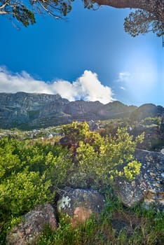 Copy space with landscape of Table Mountain in Cape Town against a cloudy blue sky background from below. Beautiful scenic views of plants and trees around an iconic natural landmark on a sunny day