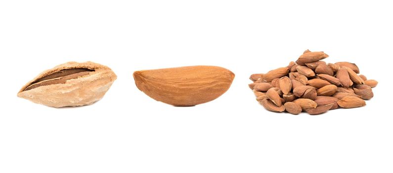 Almond isolated.Collection.