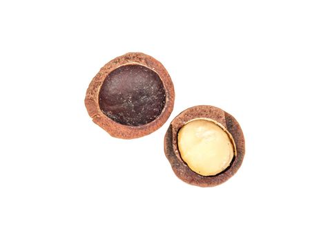 Split macadamia nut