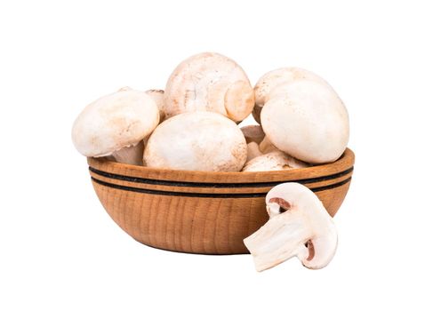 Raw mushroom champignon