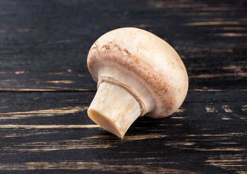Raw mushroom champignon