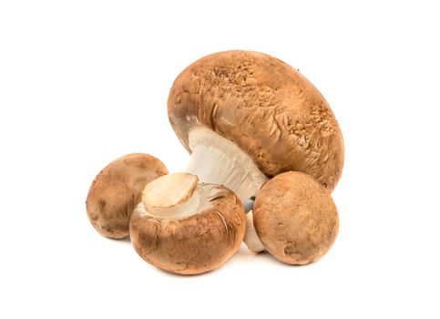 Mushrooms royal champignon