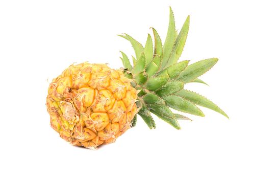 Mini fruit pineapple
