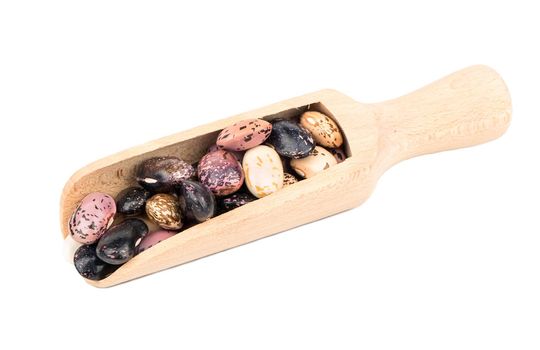 Kidney beans in a scoop