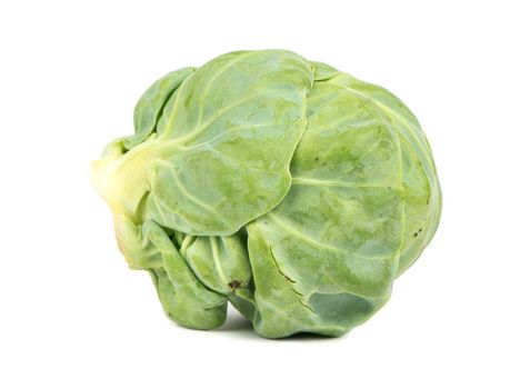 Raw brussel cabbage