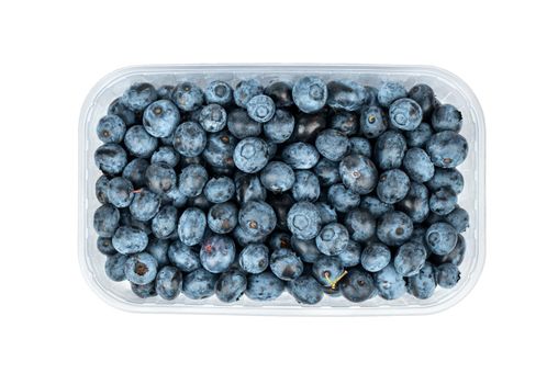 Blueberries in a container