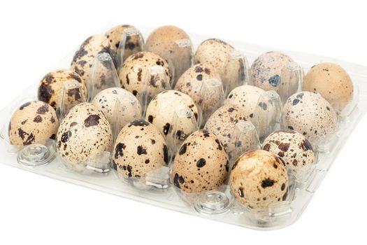 Quail eggs in the container