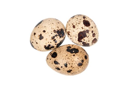 Three quail eggs