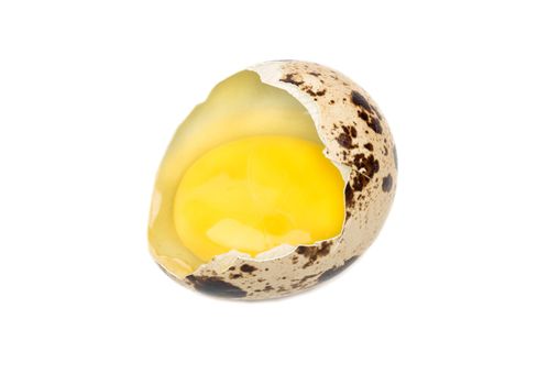 Broken quail egg