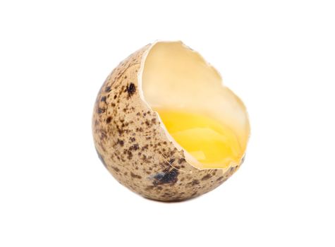Broken quail egg