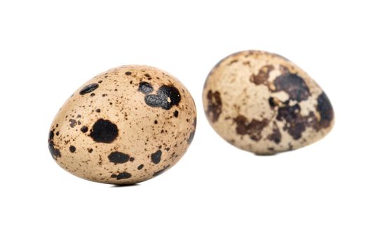 Two quail eggs