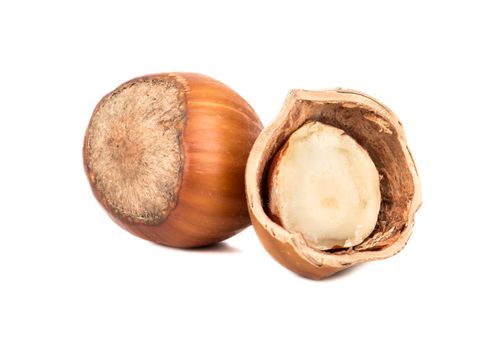 Hazelnut in shell and half