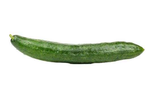 Big green cucumber