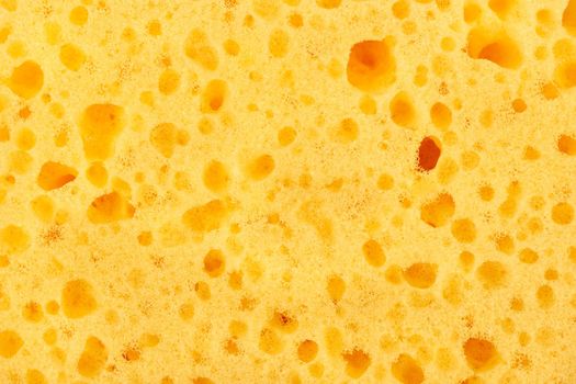 Yellow sponge closeup