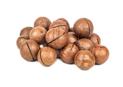 Bunch macadamia nuts