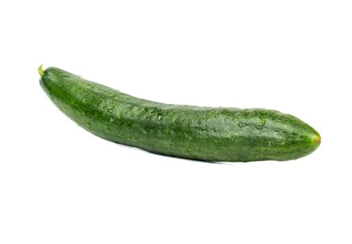 Big green cucumber