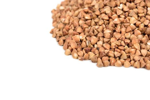 Dry buckwheat grains