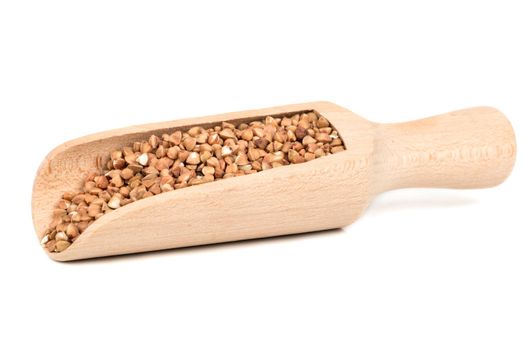 Buckwheat in scoop