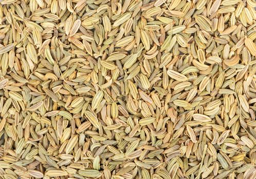 Spice dry fennel