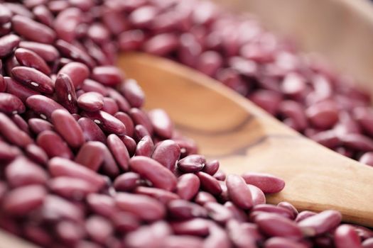 Dried Kidney Beans Close Up