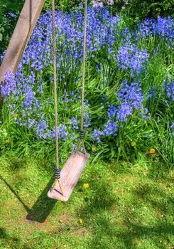 A wooden empty swing with Bluebell flower growing in a green garden. Many blue flowers in harmony with nature, tranquil wild flora in a zen, quiet backyard with a hanging seat in a peaceful place