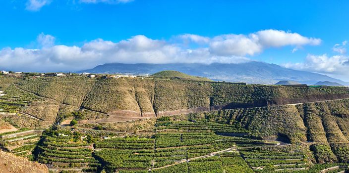 Copyspace landscape view of banana plantations around Los Llanos, La Palma in Spain. Remote farmland on the countryside against a blue sky. Secluded mountains in a deserted town with copy space